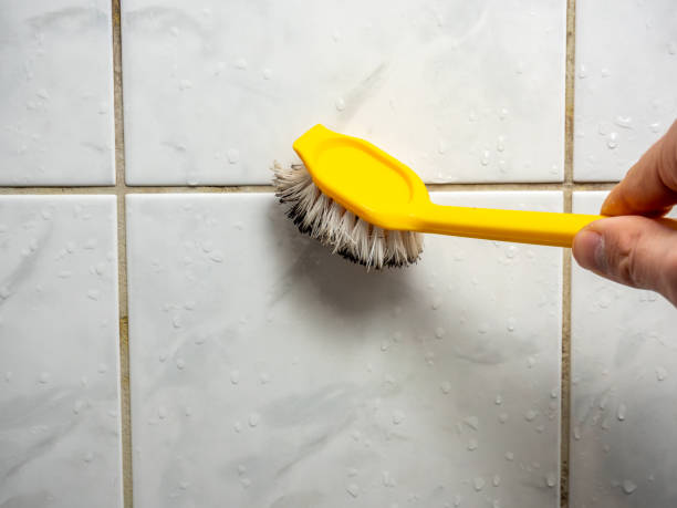 Best Professional Mold Removal  in Coatesville, PA