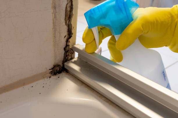 Best Certified Mold Removal  in Coatesville, PA