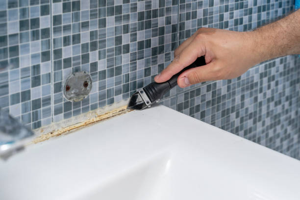 Best Mold Remediation Services  in Coatesville, PA