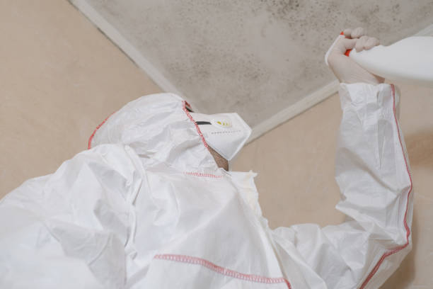 Best Mold Removal Company Near Me  in Coatesville, PA